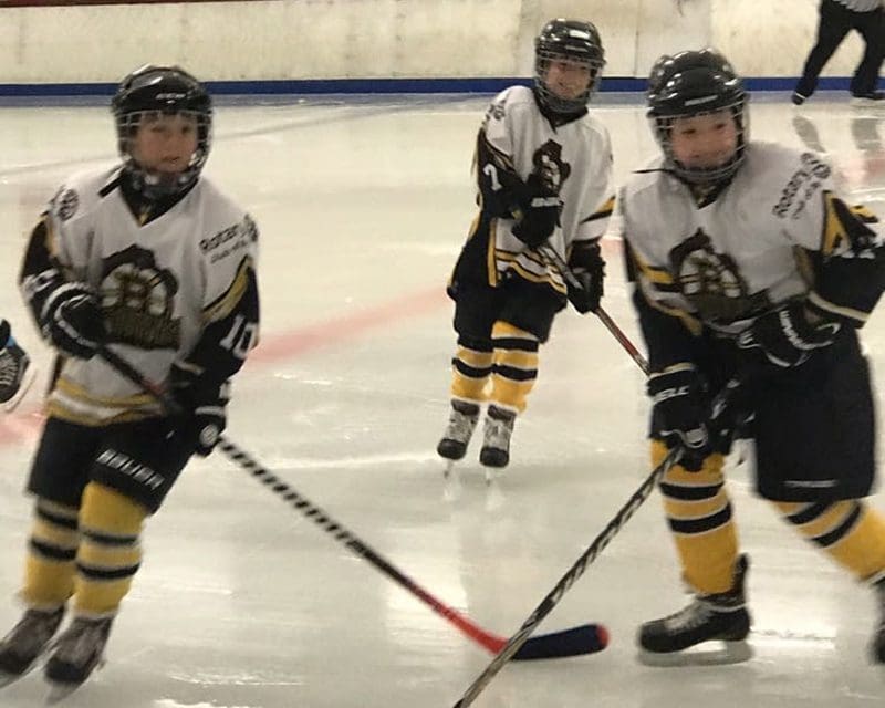 Bruins 3, British Ice Hockey