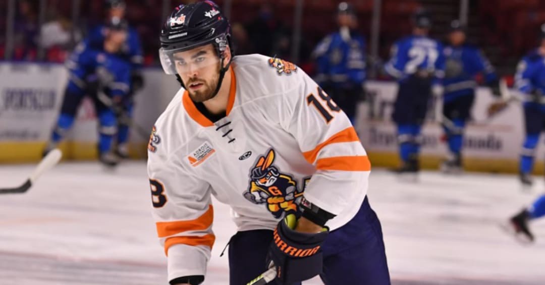 Shawn Cameron, formerly Greenville Swamp Rabbits (Image: ECHL)