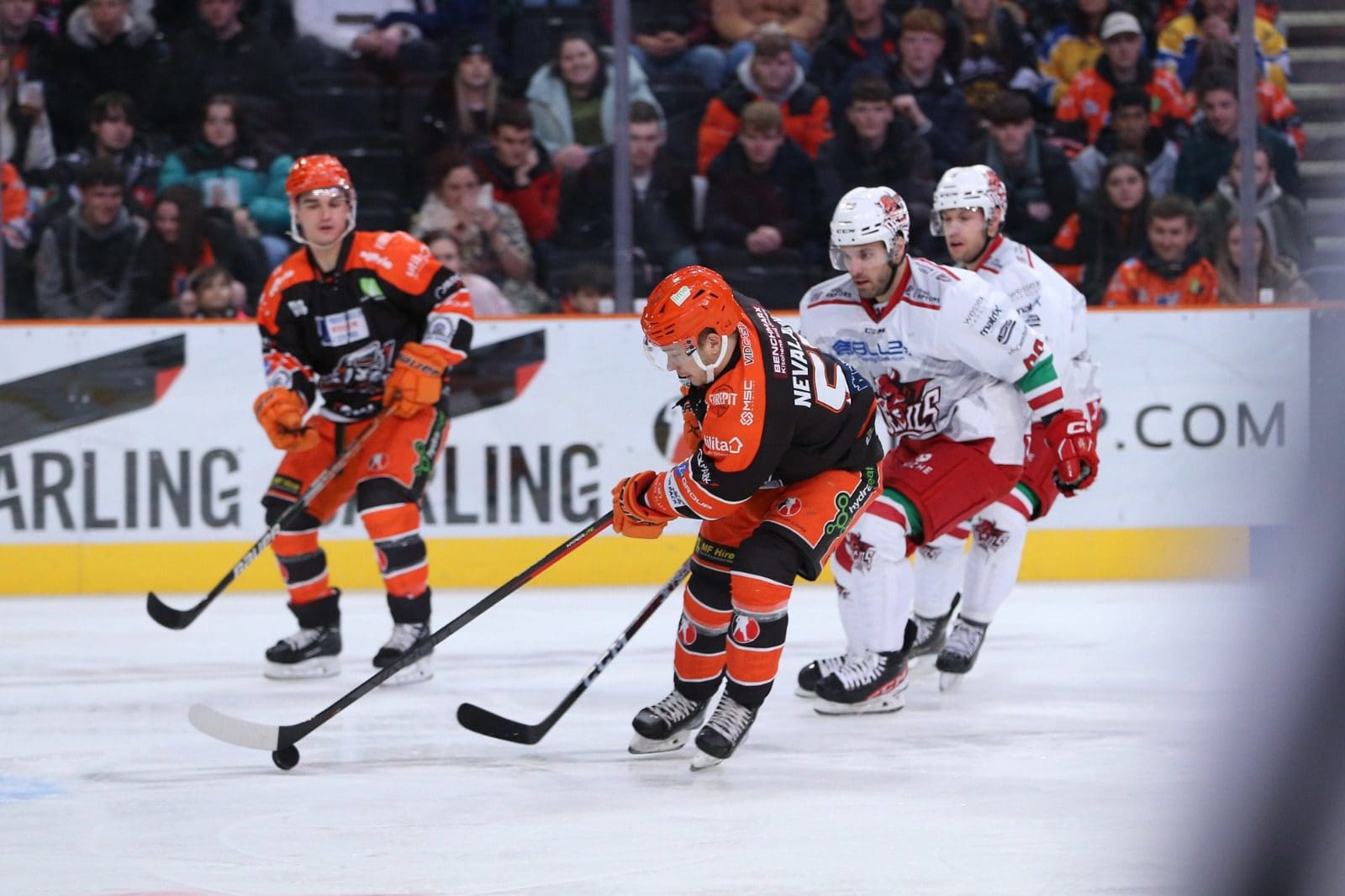 Niklas Nevalainen, Sheffield Steelers (Image: Dean Woolley)