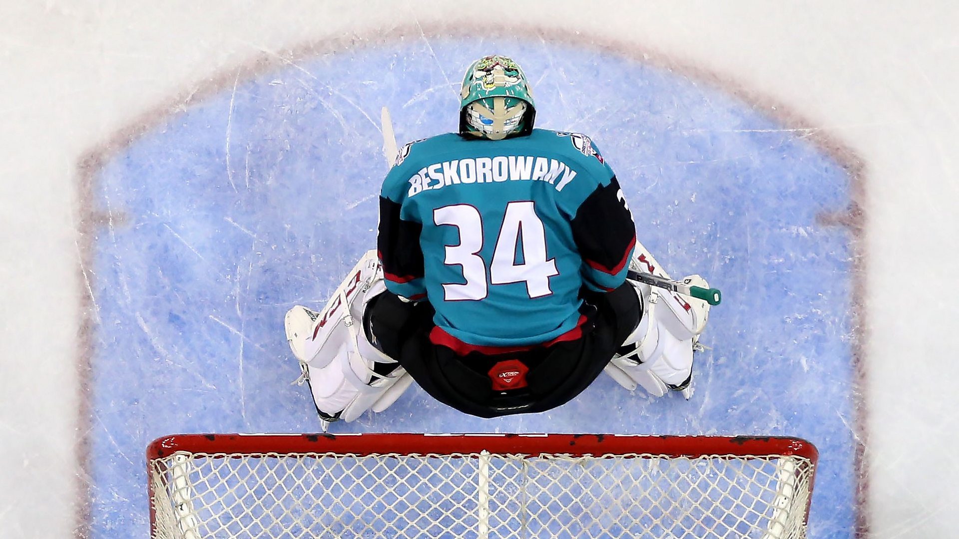 Tyler Beskorowany, Belfast Giants (Image: William Cherry)