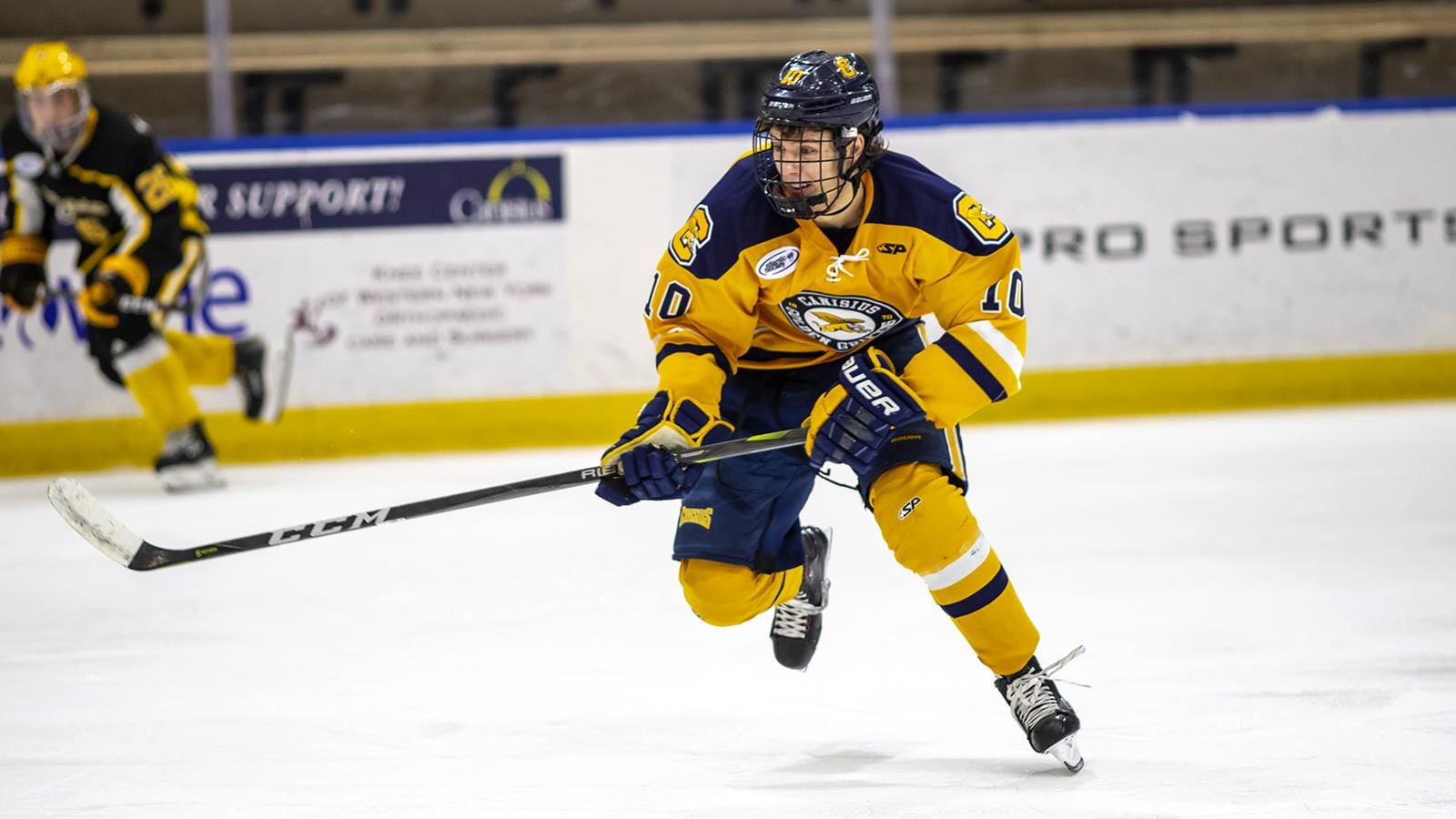 Matt McLeod, now of the Belfast Giants (Image: Canisius College)