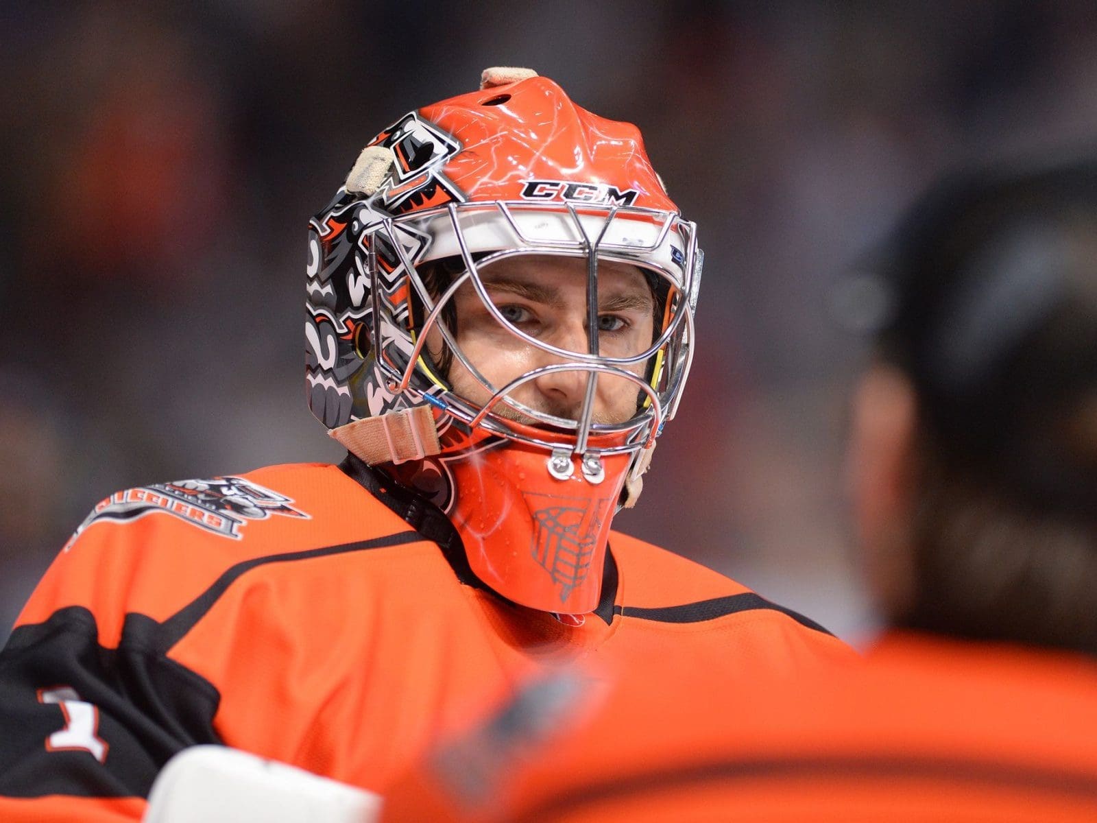 Elite League MVP: Matthew Greenfield, Sheffield Steelers (Image: Dean Woolley)