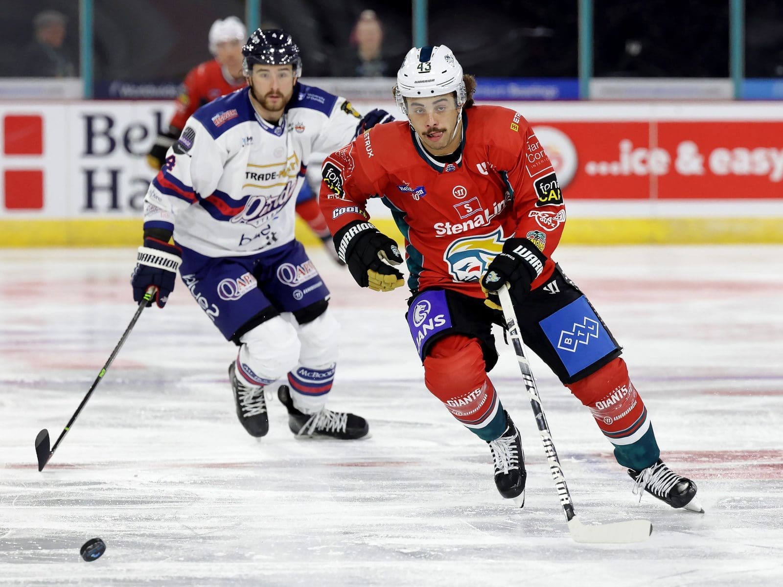 Quinn Preston Belfast Giants, British Ice Hockey