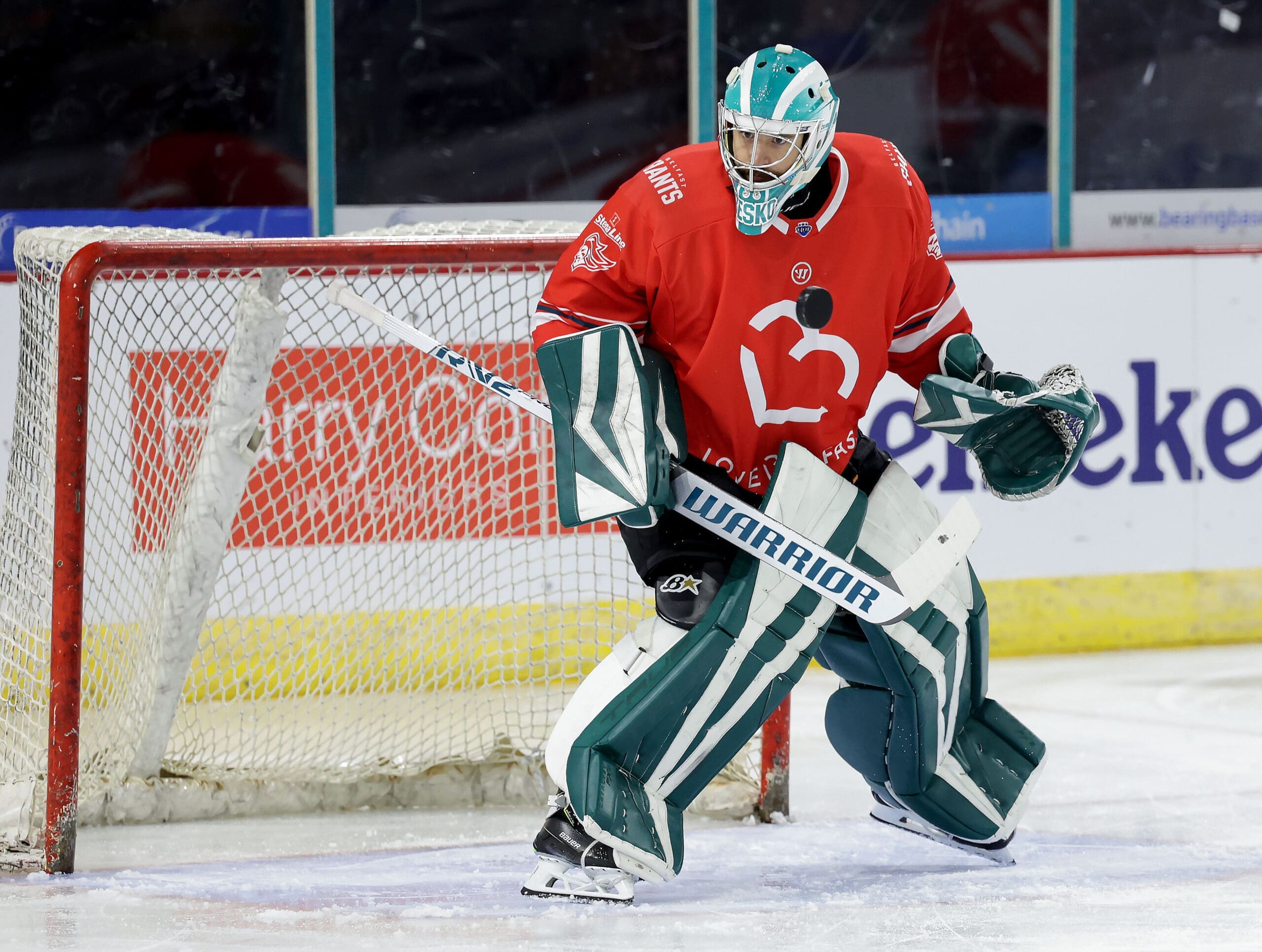 elite league gameweek Tyler Beskorowany, Belfast Giants (Image: William Cherry)