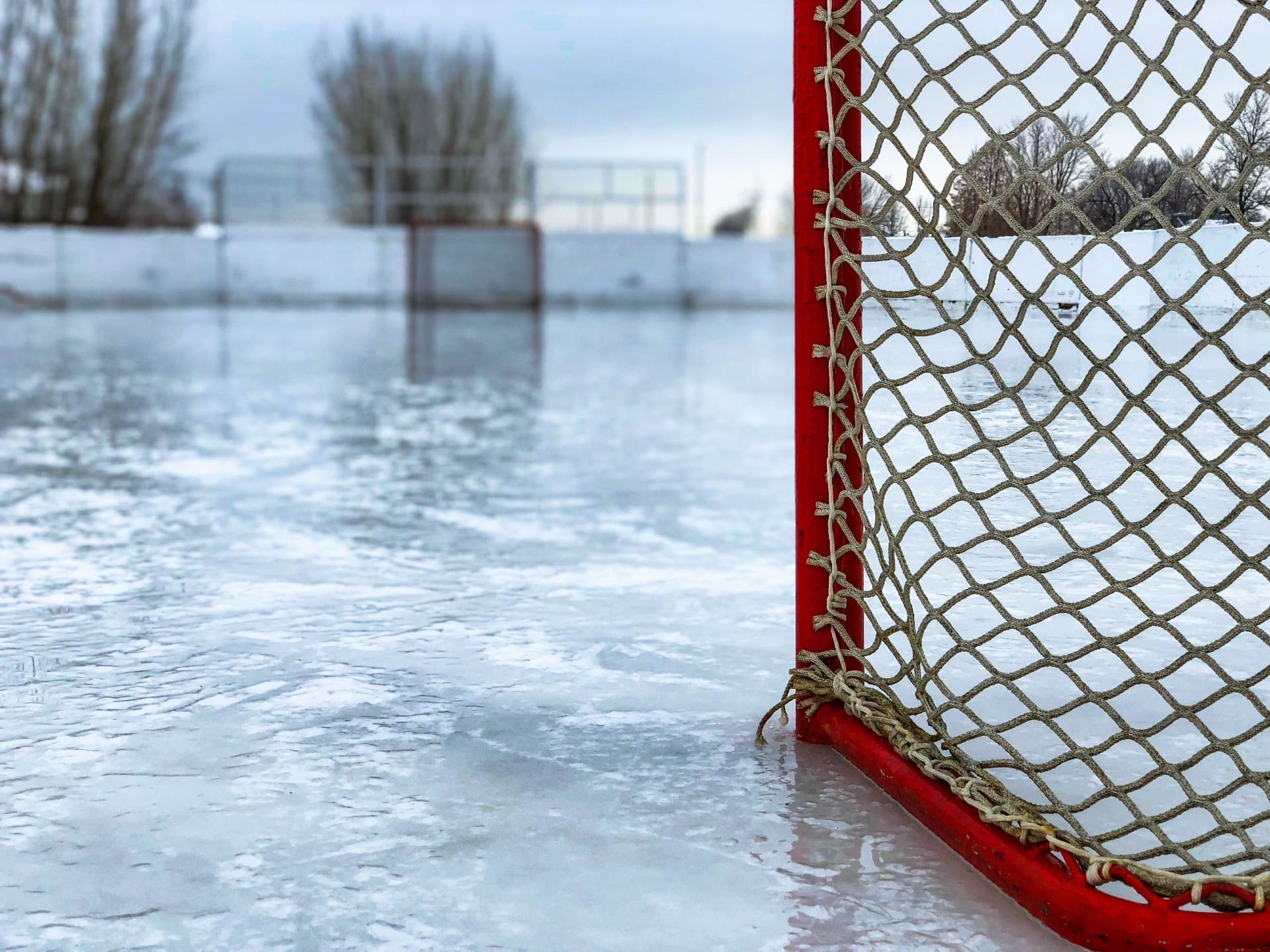 Rink Net, British Ice Hockey