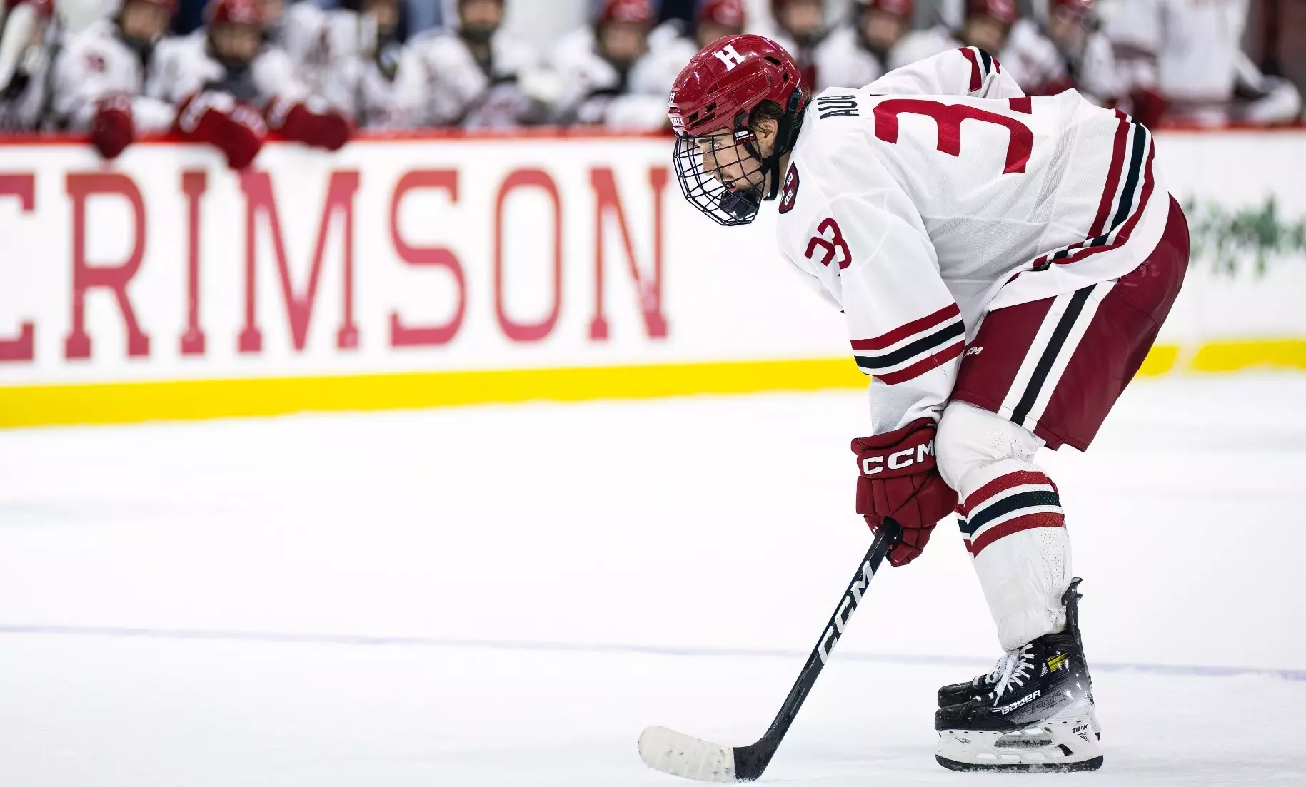 Lucas St. Louis, Harvard University (Image: Harvard University Athletics)