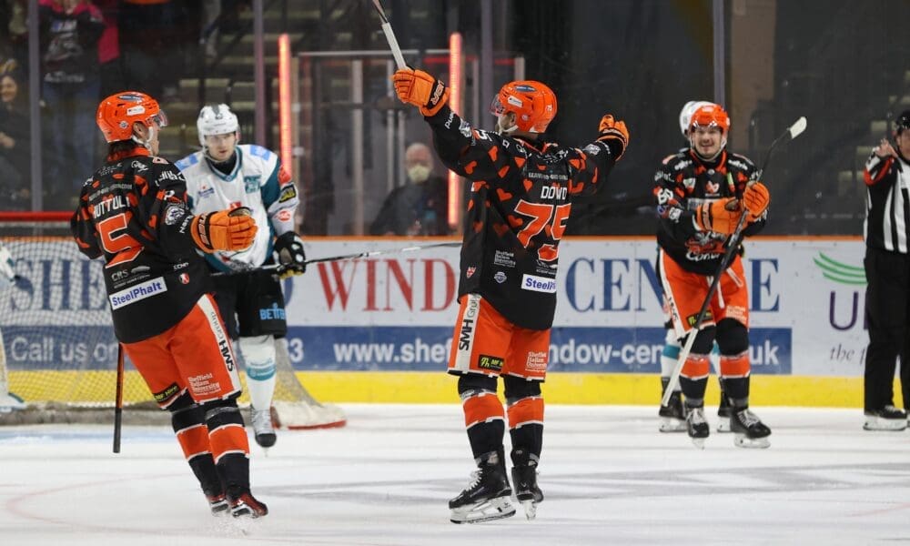 Robert Dowd, Sheffield Steelers (Image: Hayley Roberts)