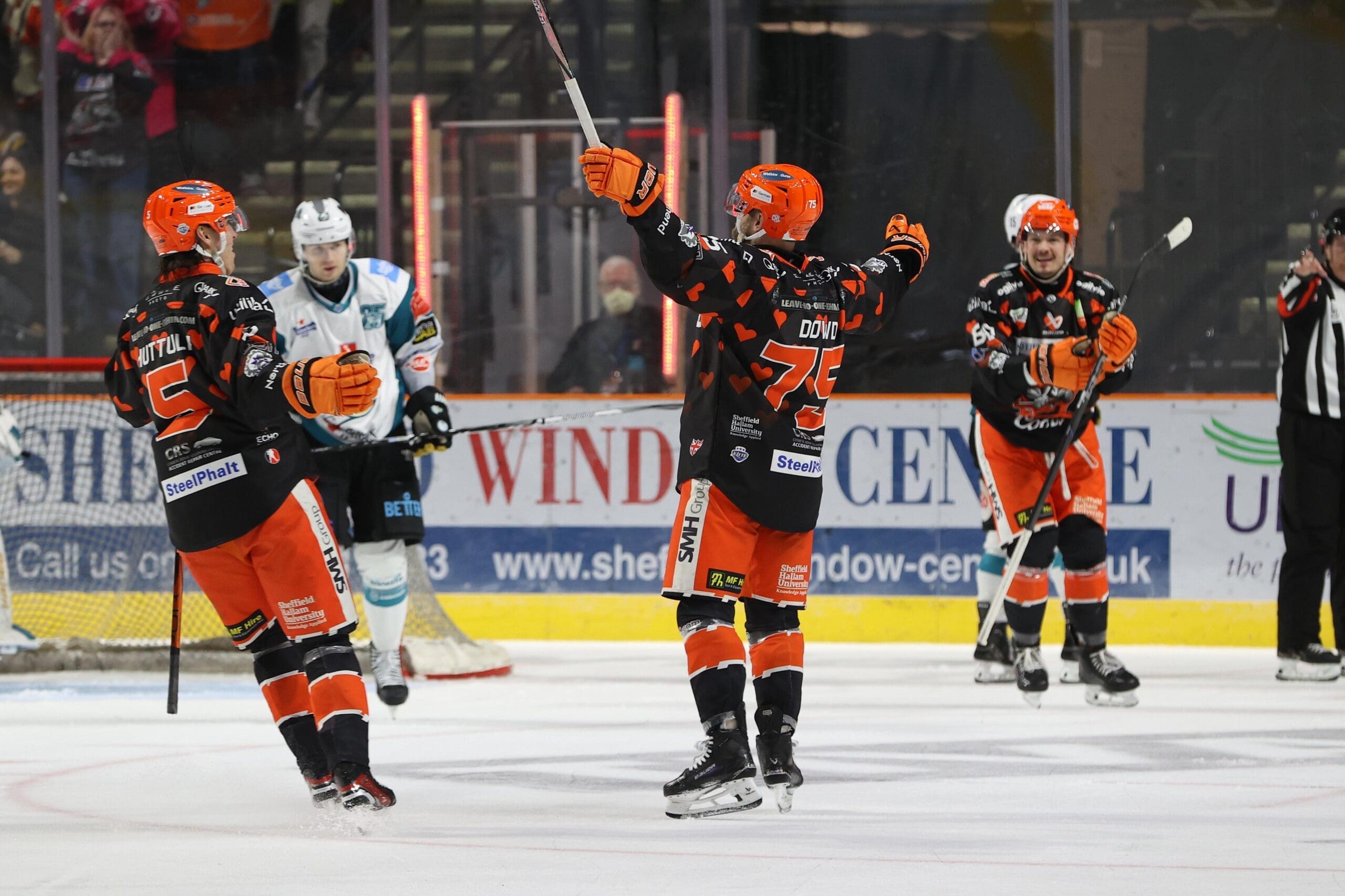 Robert Dowd, Sheffield Steelers (Image: Hayley Roberts)