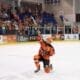Daniel Leavens, Sheffield Steelers (Image: Dean Woolley)