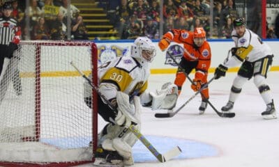 Jason Grande, Nottingham Panthers (Image: Jillian McFarlane)