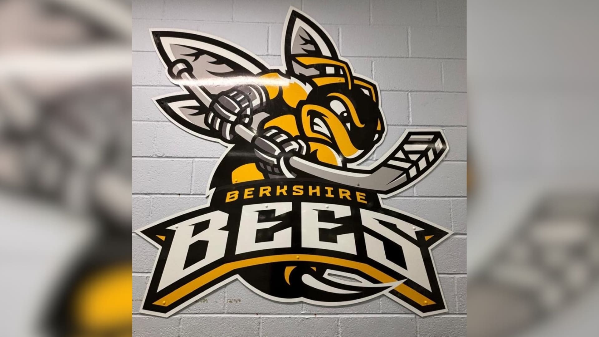 Berkshire Bees, British Ice Hockey