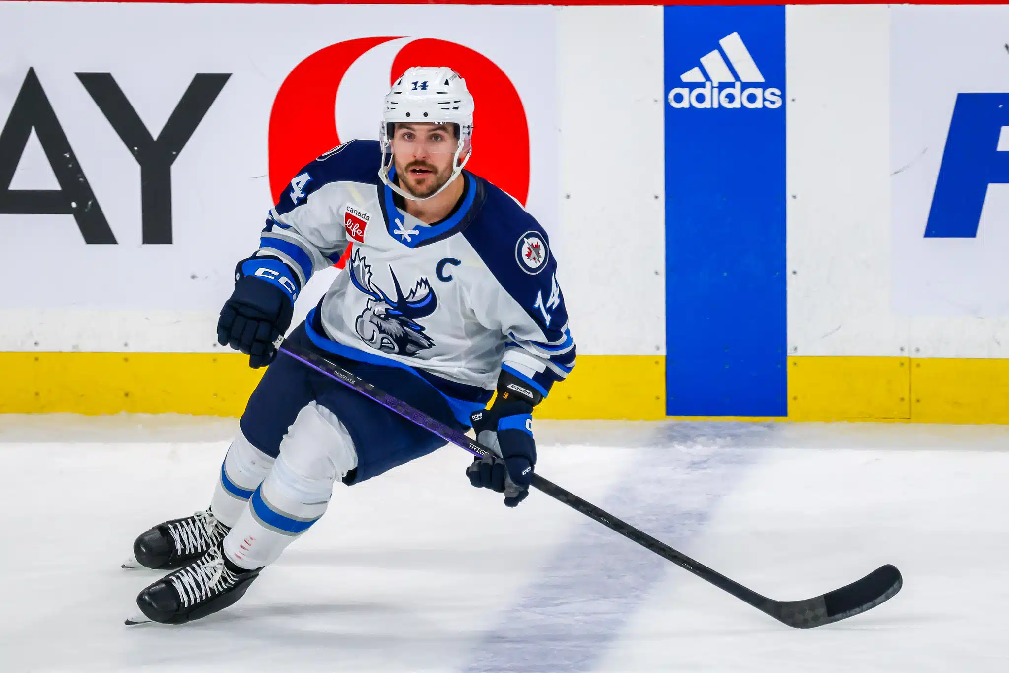 Jimmy Oligny, Cardiff Devils (Image: Manitoba Moose)