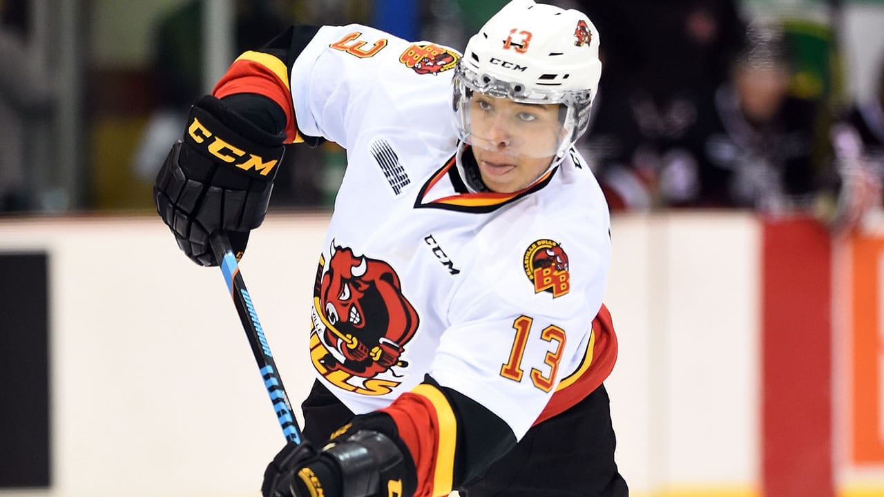 Stephen Harper, Sheffield Steelers (Image: OHL)