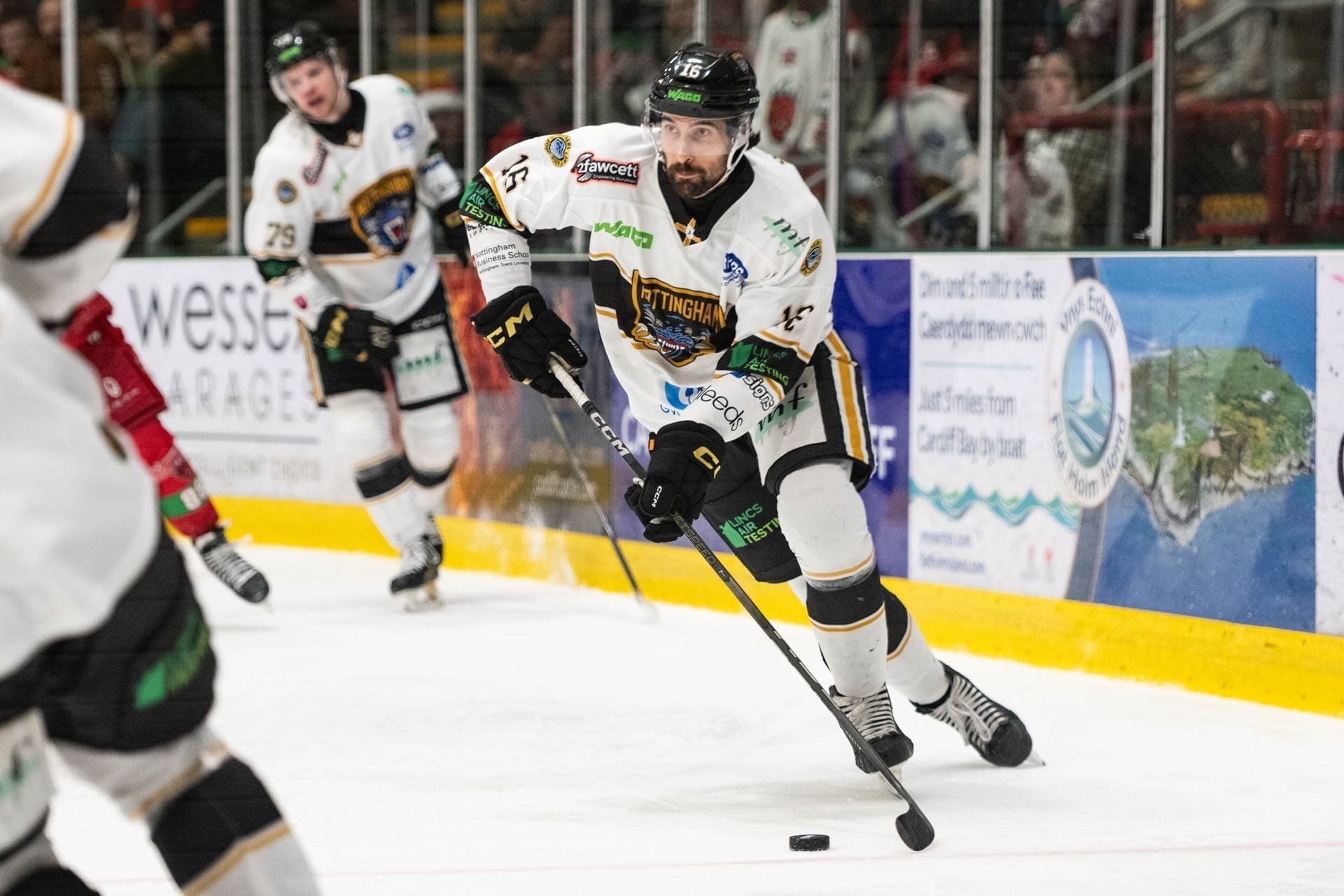Kristoff Kontos, Cardiff Devils (Image: Nottingham Panthers)