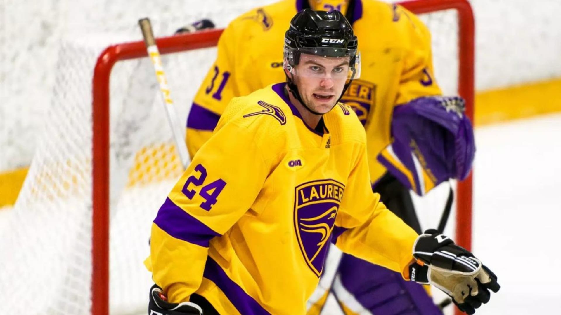 Steve MacLean, British Ice Hockey