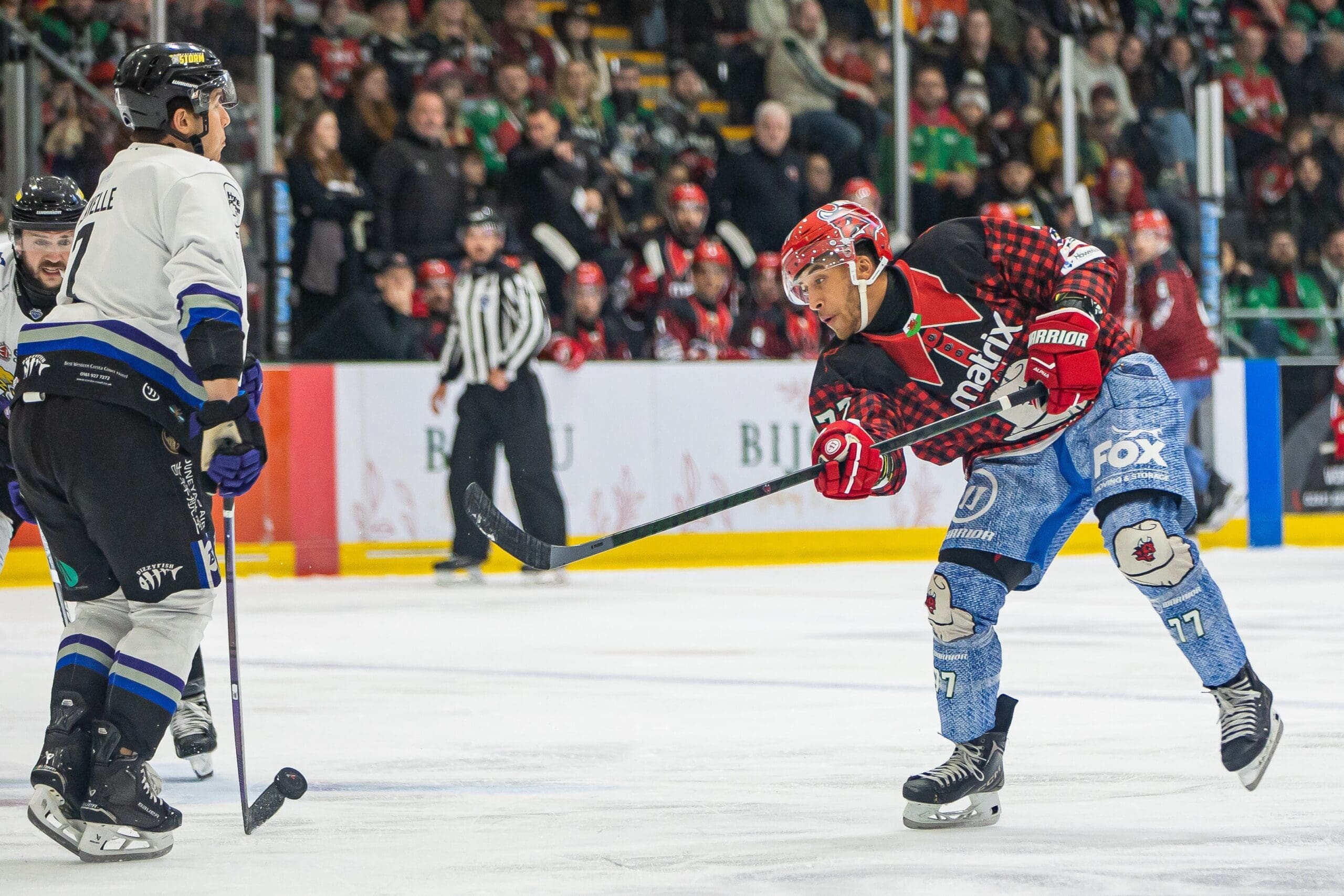 Bayley Harewood, Cardiff Devils (Image: James Assidner)