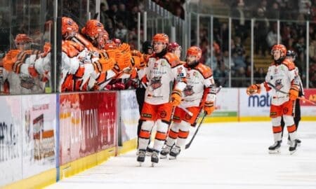 Mitchell Balmas, Sheffield Steelers (Image: James Assinder)