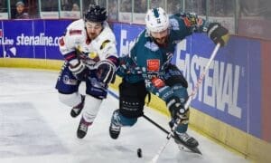 JJ Piccinich, Belfast Giants (Image: William Cherry) Dundee Stars