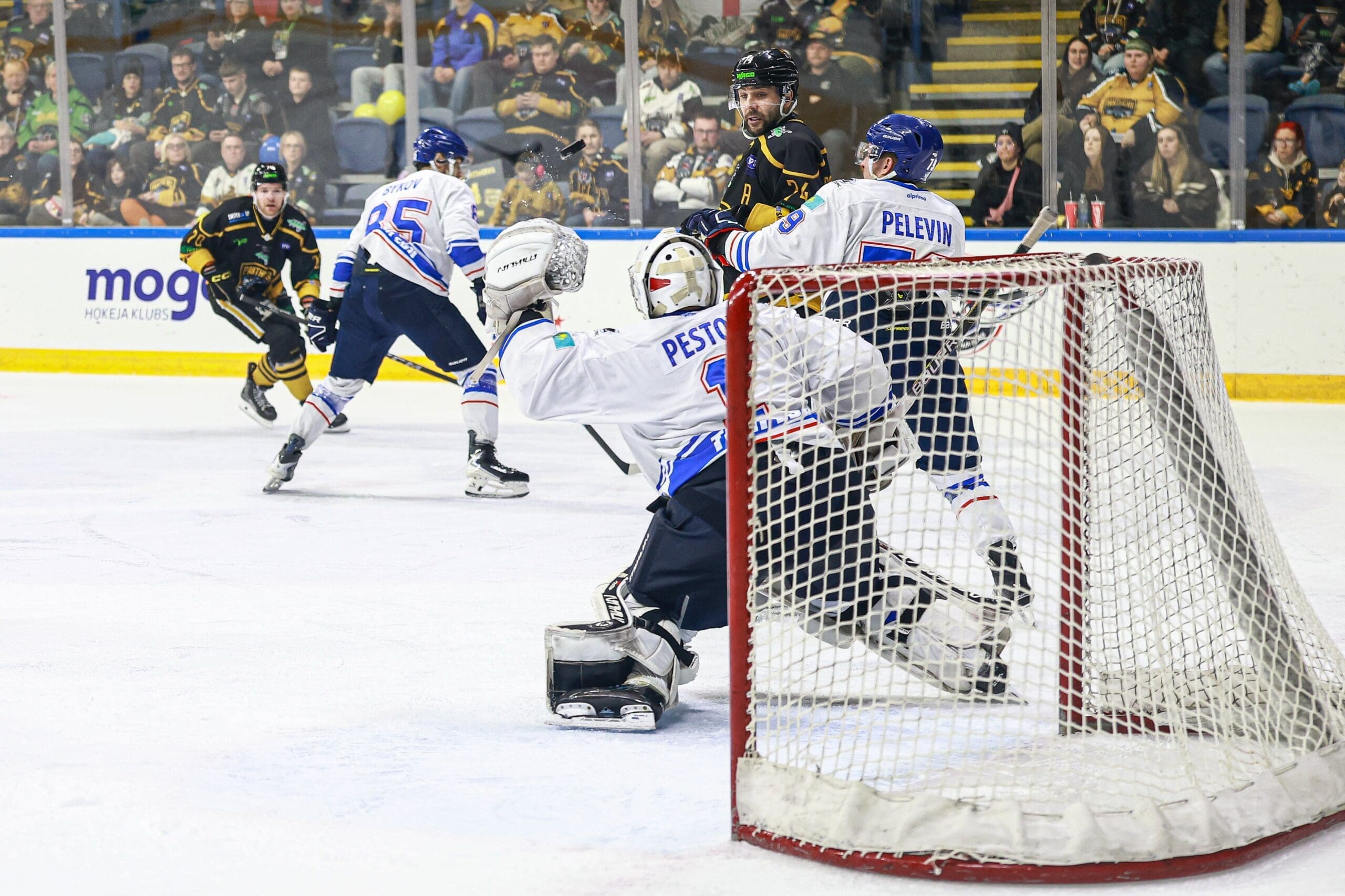 Vladislav Pestov, Torpedo Ust-Kamenogorsk (Image: Panthers Images) 